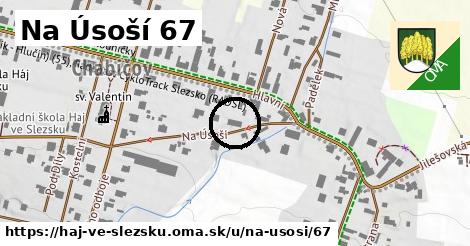 Na Úsoší 67, Háj ve Slezsku