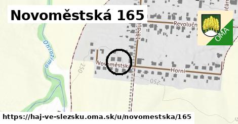 Novoměstská 165, Háj ve Slezsku