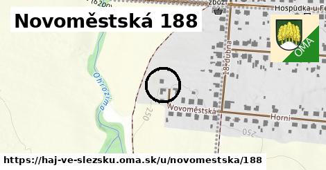 Novoměstská 188, Háj ve Slezsku