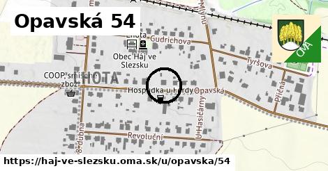 Opavská 54, Háj ve Slezsku