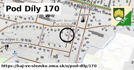 Pod Díly 170, Háj ve Slezsku