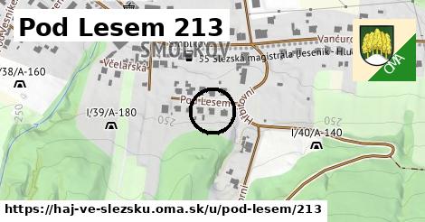 Pod Lesem 213, Háj ve Slezsku