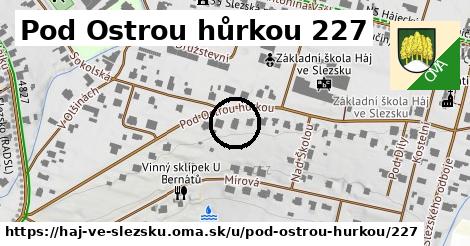 Pod Ostrou hůrkou 227, Háj ve Slezsku