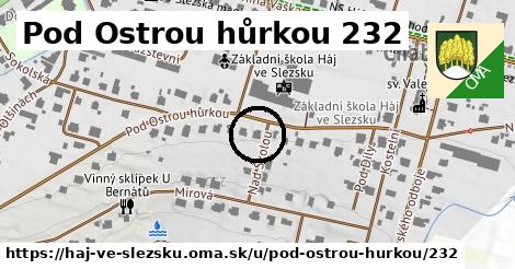 Pod Ostrou hůrkou 232, Háj ve Slezsku