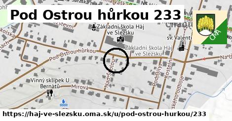 Pod Ostrou hůrkou 233, Háj ve Slezsku