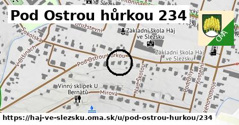 Pod Ostrou hůrkou 234, Háj ve Slezsku