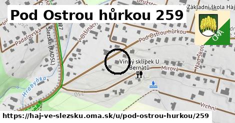 Pod Ostrou hůrkou 259, Háj ve Slezsku