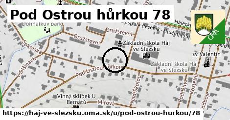 Pod Ostrou hůrkou 78, Háj ve Slezsku