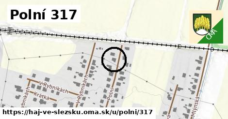 Polní 317, Háj ve Slezsku