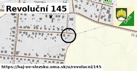 Revoluční 145, Háj ve Slezsku
