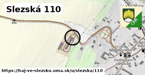 Slezská 110, Háj ve Slezsku