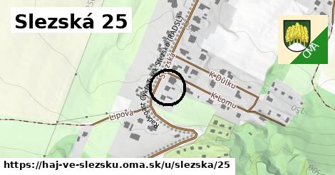 Slezská 25, Háj ve Slezsku