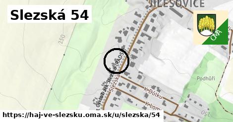 Slezská 54, Háj ve Slezsku