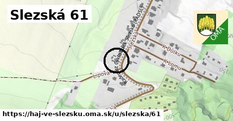 Slezská 61, Háj ve Slezsku