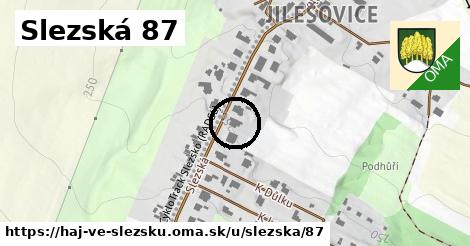 Slezská 87, Háj ve Slezsku