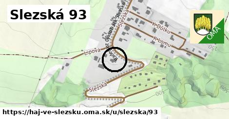 Slezská 93, Háj ve Slezsku