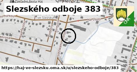 Slezského odboje 383, Háj ve Slezsku
