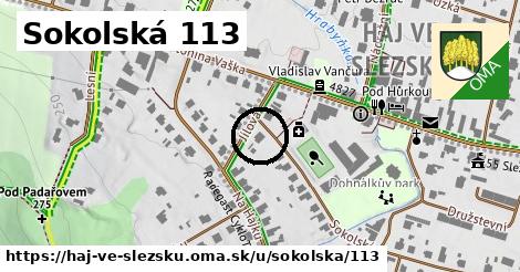Sokolská 113, Háj ve Slezsku