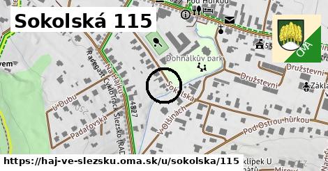 Sokolská 115, Háj ve Slezsku