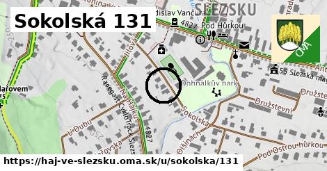 Sokolská 131, Háj ve Slezsku