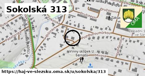 Sokolská 313, Háj ve Slezsku