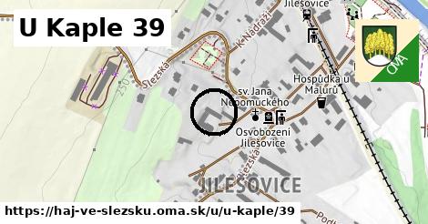 U Kaple 39, Háj ve Slezsku