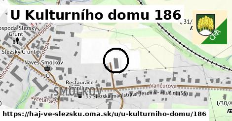 U Kulturního domu 186, Háj ve Slezsku