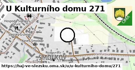 U Kulturního domu 271, Háj ve Slezsku
