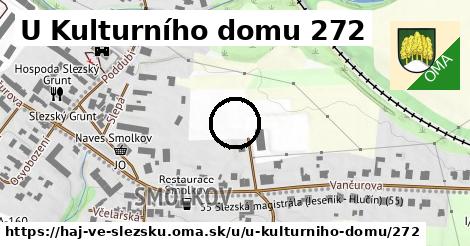 U Kulturního domu 272, Háj ve Slezsku
