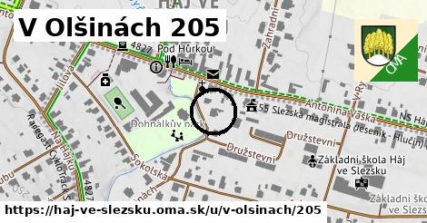 V Olšinách 205, Háj ve Slezsku