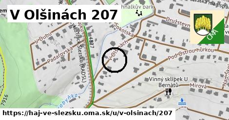 V Olšinách 207, Háj ve Slezsku