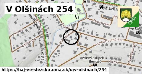 V Olšinách 254, Háj ve Slezsku