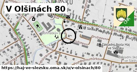 V Olšinách 80, Háj ve Slezsku