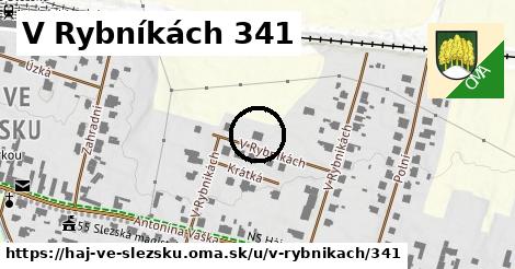 V Rybníkách 341, Háj ve Slezsku