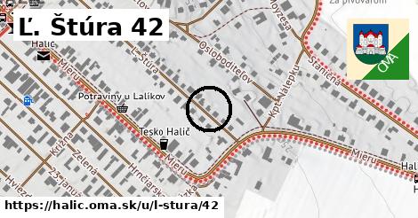 Ľ. Štúra 42, Halič