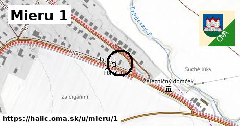 Mieru 1, Halič
