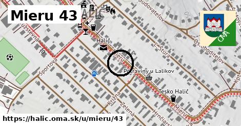 Mieru 43, Halič