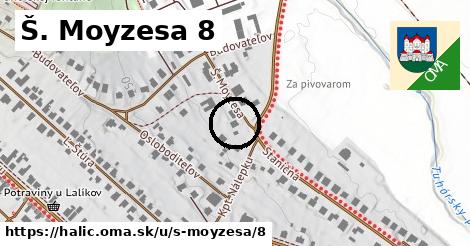 Š. Moyzesa 8, Halič