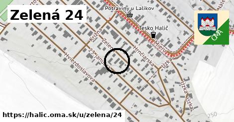 Zelená 24, Halič