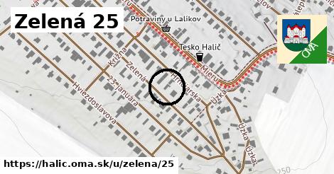 Zelená 25, Halič