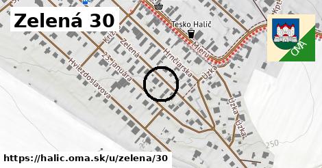 Zelená 30, Halič