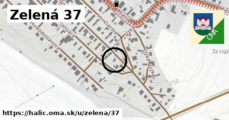 Zelená 37, Halič