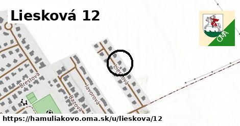 Liesková 12, Hamuliakovo