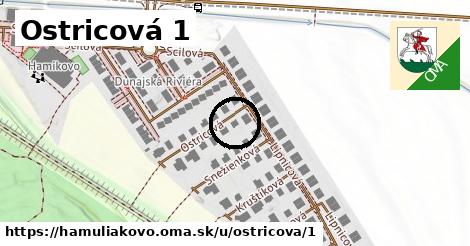 Ostricová 1, Hamuliakovo