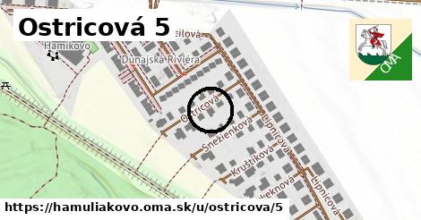 Ostricová 5, Hamuliakovo