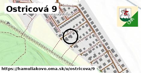 Ostricová 9, Hamuliakovo