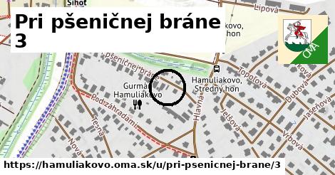 Pri pšeničnej bráne 3, Hamuliakovo