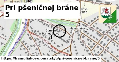 Pri pšeničnej bráne 5, Hamuliakovo