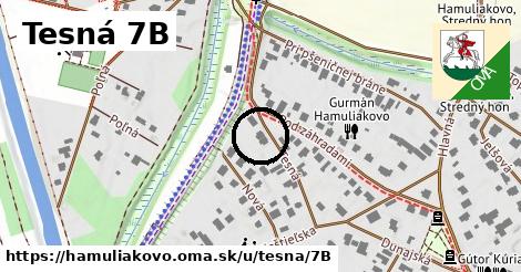 Tesná 7B, Hamuliakovo