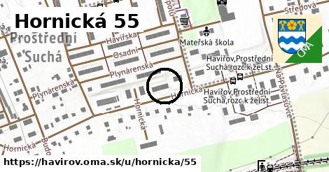 Hornická 55, Havířov